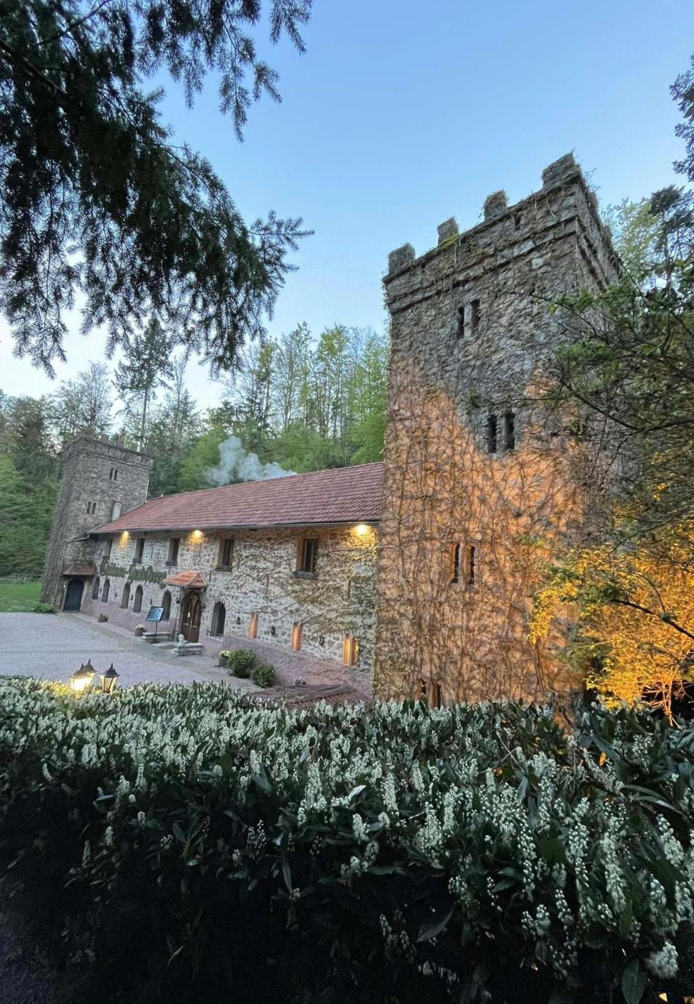 בר Le Chateau Du Landsberg מראה חיצוני תמונה